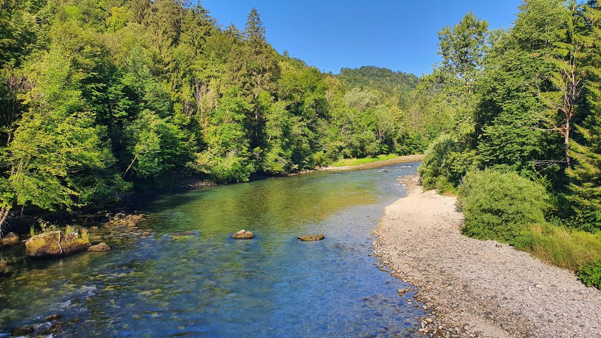 Eco River Camp - Pitches Radovljica Eksteriør billede